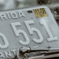 Discover the Thrill of Motorsport and the Need for Lien Perfection